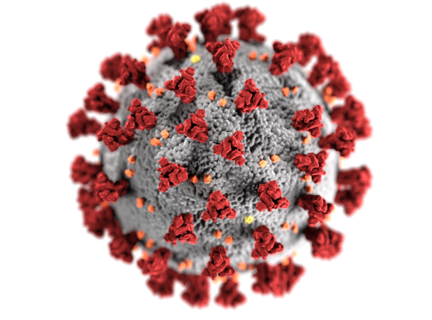 COVID-19 virus image